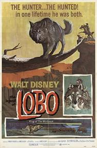 The Legend of Lobo poster