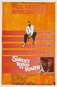 Sweet Bird of Youth poster