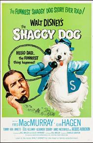 The Shaggy Dog poster