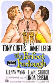 The Perfect Furlough poster