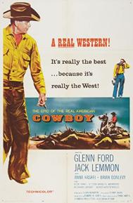 Cowboy poster