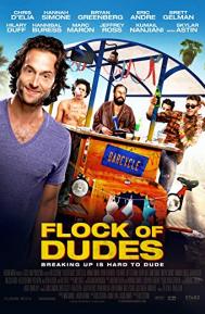 Flock of Dudes poster
