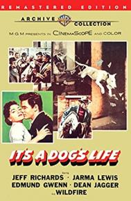It's a Dog's Life poster