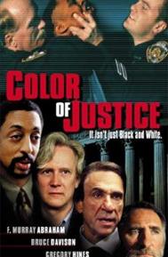 Color of Justice poster