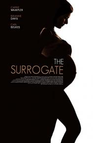 The Secret Life of a Celebrity Surrogate poster