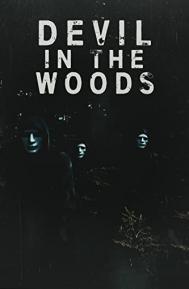 Devil in the Woods poster