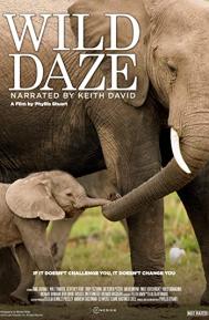 Wild Daze poster