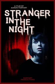 Stranger in the Night poster