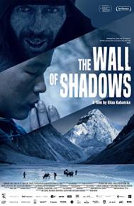 The Wall of Shadows poster