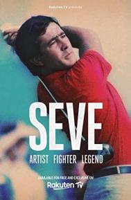 SEVE Artist Fighter Legend poster