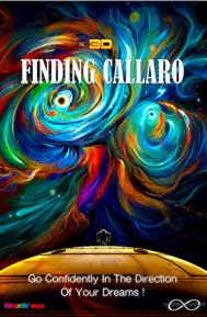Finding Callaro poster