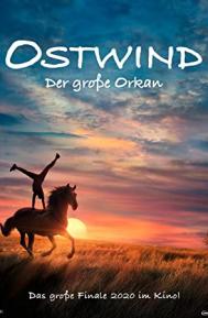 Ostwind - Der große Orkan poster