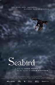 Seabird poster