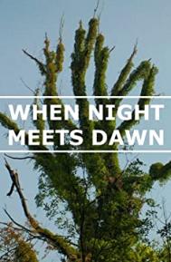 When Night Meets Dawn poster