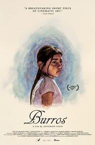 Burros poster