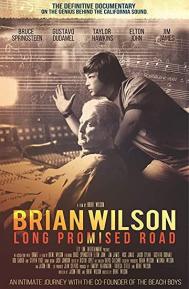 Brian Wilson: Long Promised Road poster
